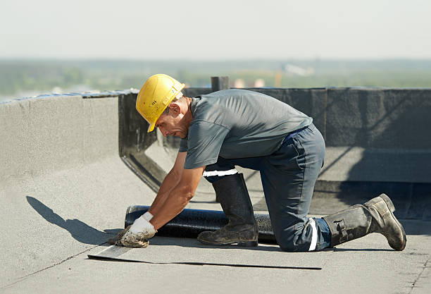 Best Insulation Repair Services  in Governors Village, NC