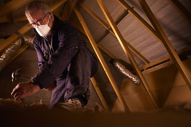Best Fiberglass Insulation  in Governors Village, NC