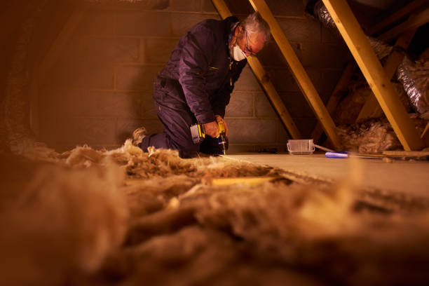 Best Cellulose Insulation  in Governors Village, NC