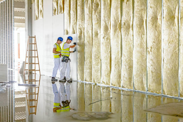 Best Insulation Contractors for Homes  in Governors Village, NC